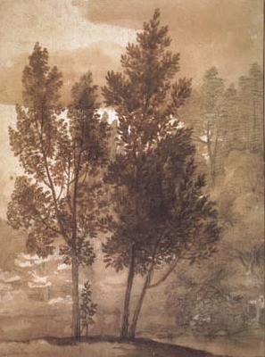 Claude Lorrain Trees (mk17) oil painting image